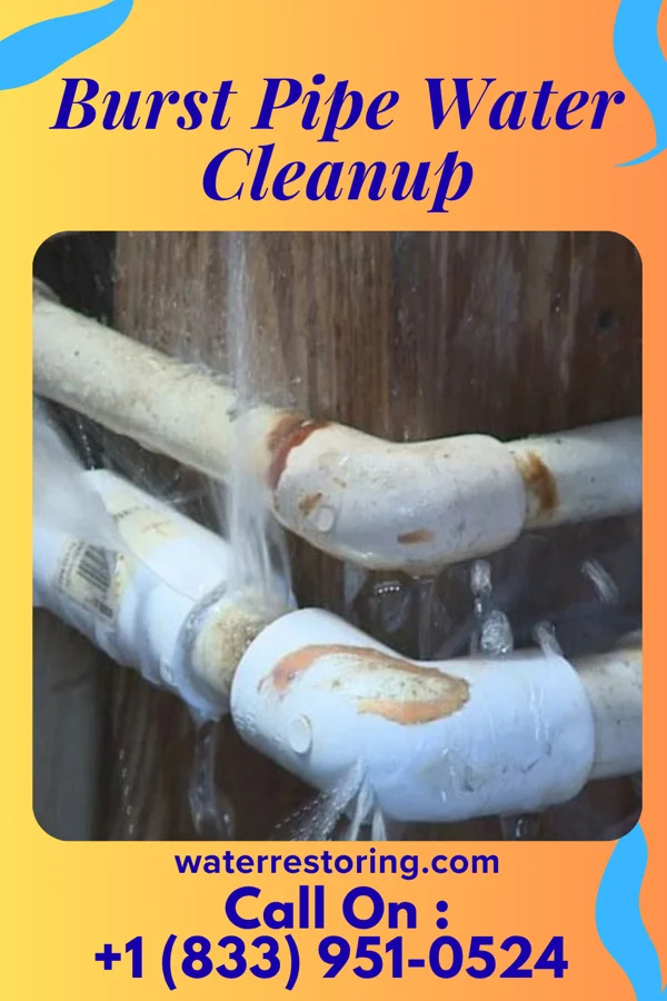 Burst Pipe Water Cleanup in Wayland, KY